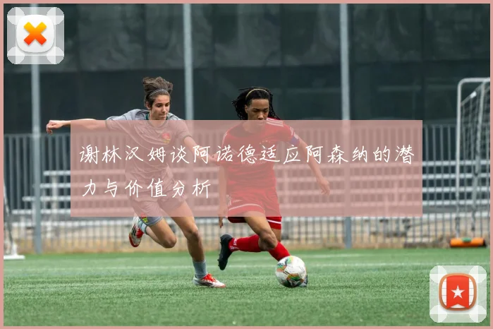 谢林汉姆谈阿诺德适应阿森纳的潜力与价值分析