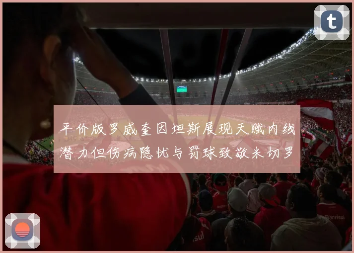 平价版罗威奎因坦斯展现天赋内线潜力但伤病隐忧与罚球致敬米切罗